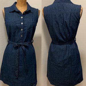 Collared Sleeveless Petite Denim Shirtdress
